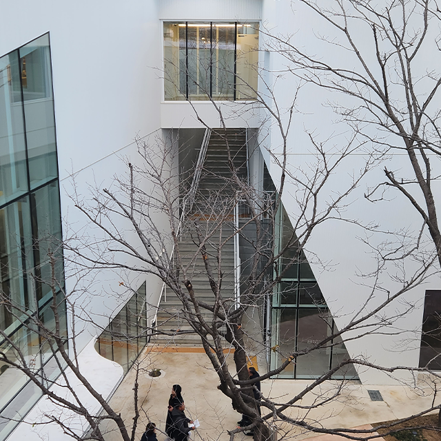 SsD Unveils Nature-Infused Museum Hodu in Cheonan