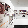 convergent flux - korea society